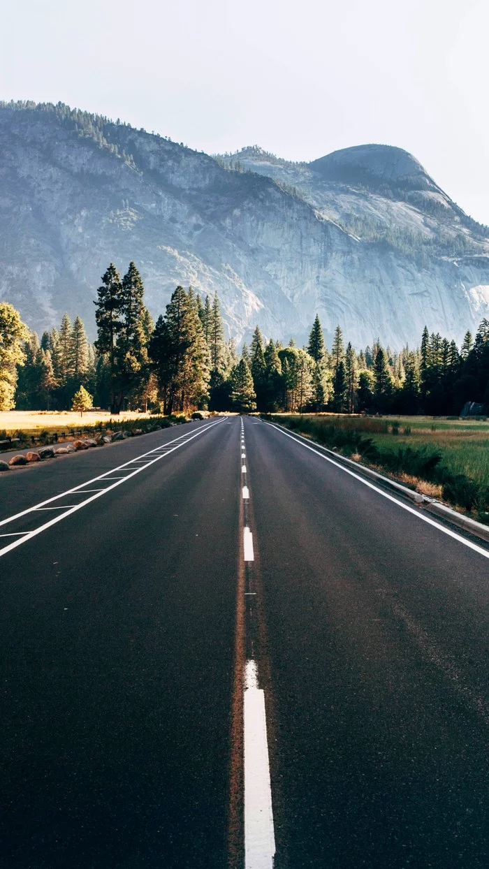 Lonely Road - Phone wallpaper, USA, The mountains, Forest, Landscape, Road, Sky, Clear sky