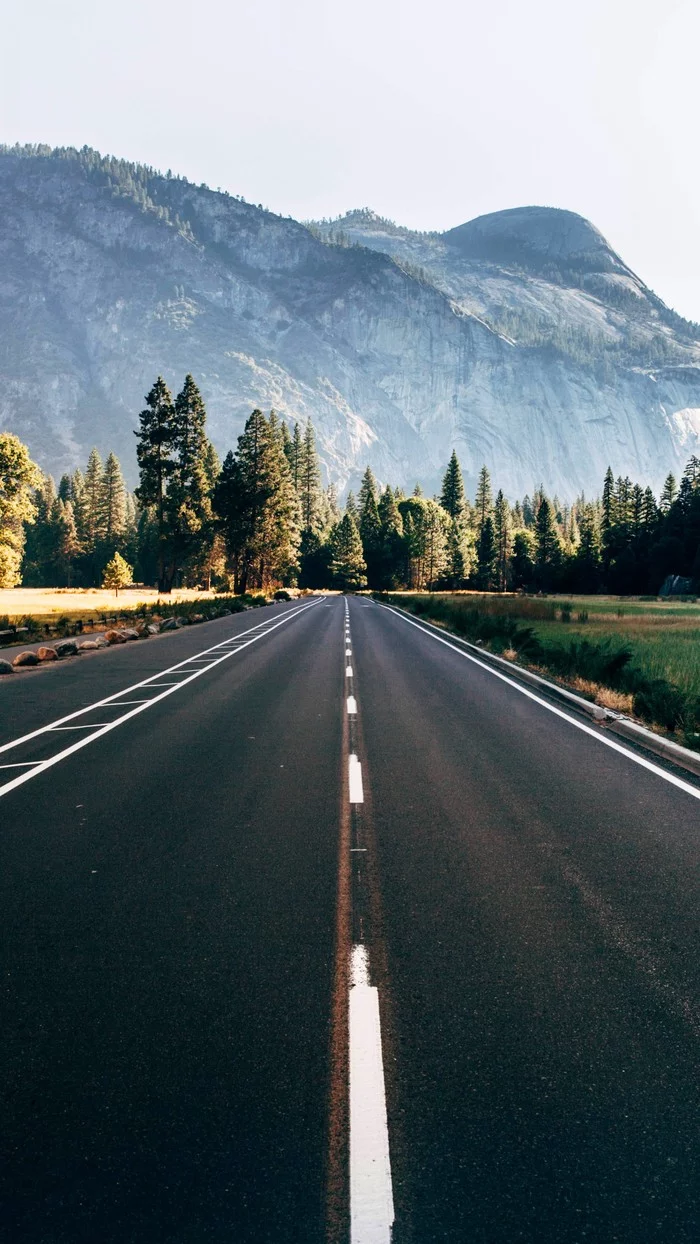 Lonely Road - Phone wallpaper, USA, The mountains, Forest, Landscape, Road, Sky