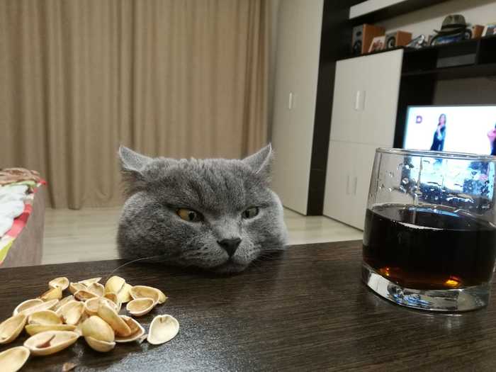 �������� ��� ����������