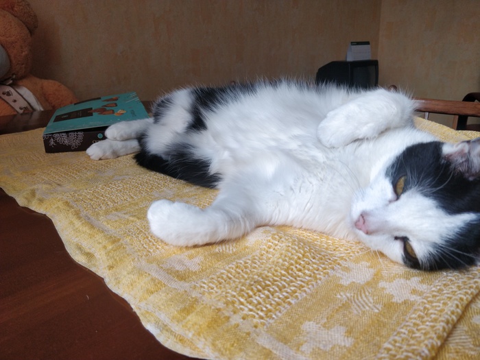 ���������