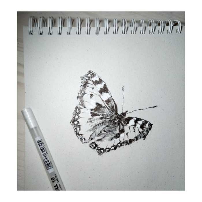 Butterfly - My, Drawing, Mascara, Painting, Artist, Spring, Butterfly