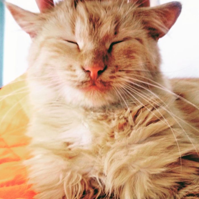 Умиротворение