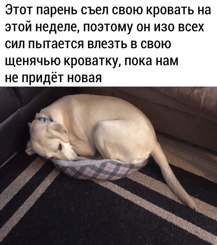 �������� �����