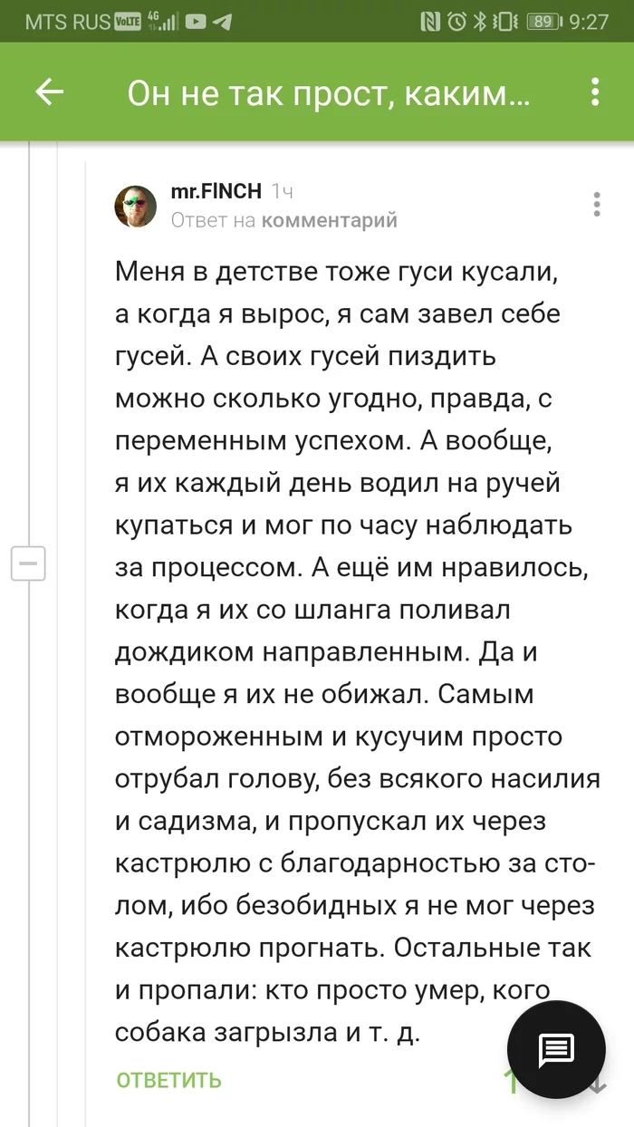 Есть люди, которых никогда нельзя обижать - Гусь, Кусь, Суп, Комментарии на Пикабу, Скриншот, Мат