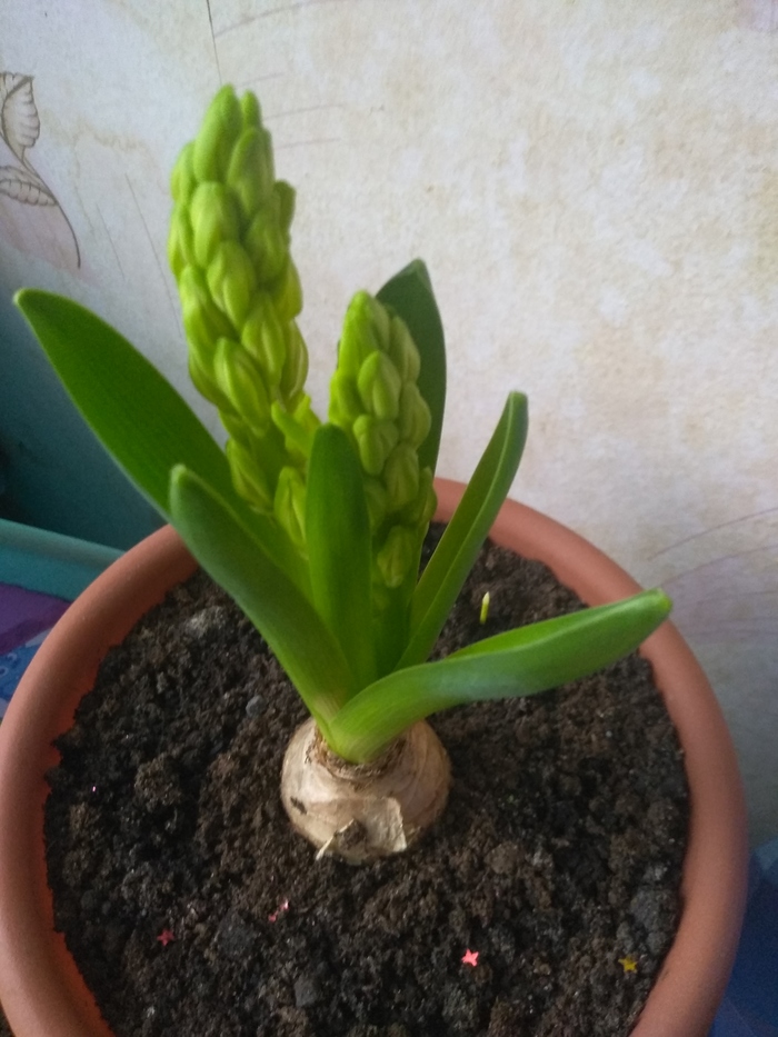 Сила Пикабу