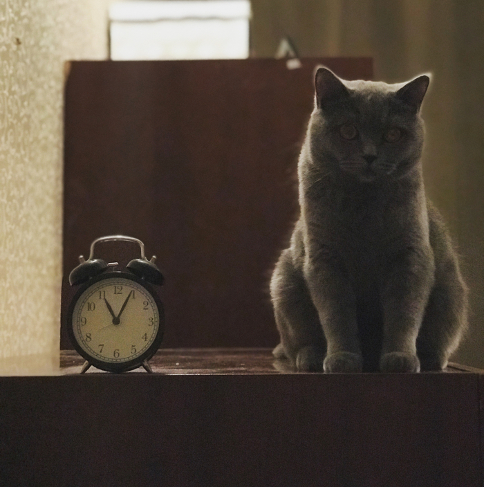 ����� ����� ���� ���������