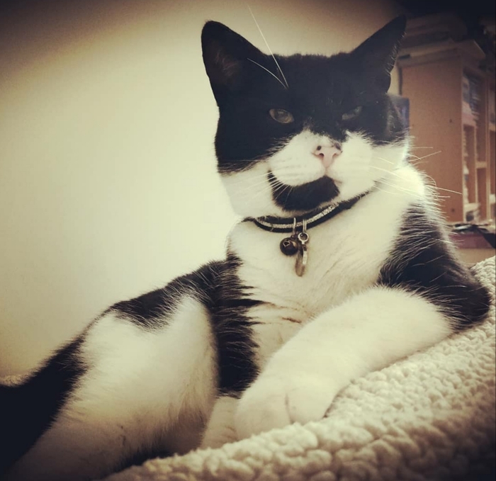 �����, �������! �������� ��� �������...�������� ��������