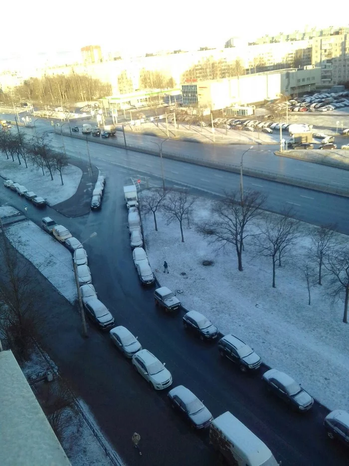 Frosty morning - My, Weather, Snow, Saint Petersburg, The photo, View from the window, Good morning, Morning, The sun