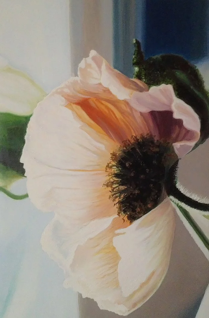 Poppy - My, Poppy, Oil painting, Canvas, Painting