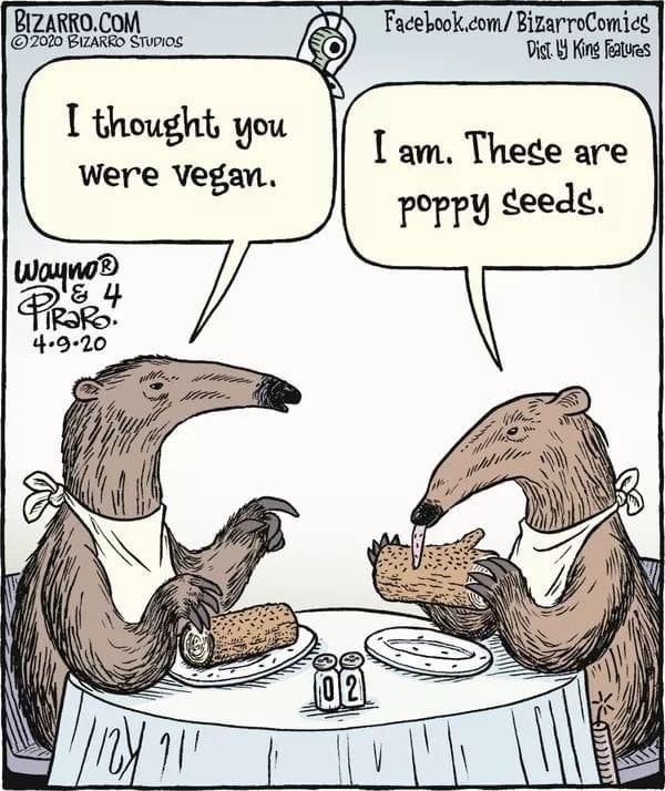    , Bizarrocomics, 