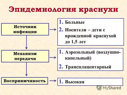 Краснуха, почти побежденная - Краснуха, Вакцина, Вакцинация, Длинное, Длиннопост