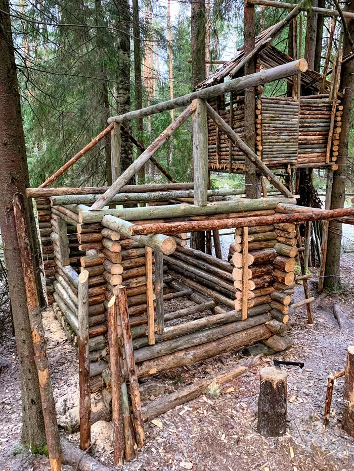 Slow construction of a camp in the forest. Log house, tree house and shed. For the soul :) - My, Forest, Liberty, A life, Bushcraft, Start, Story, Happiness, Skill