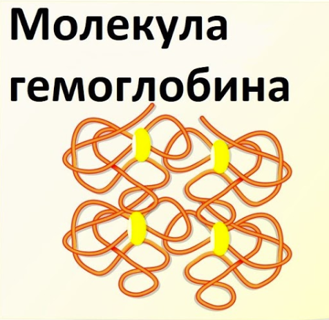 Как я представляю заражение коронавирусом - Медицина, Коронавирус, Длиннопост