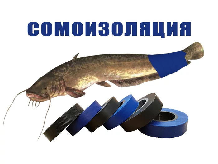 Sit at home... - Self-isolation, Coronavirus, Insulating tape, Catfish, Picture with text