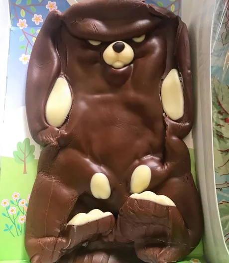 The chocolate bunny has melted a little - Chocolate, Rabbit, Facial expression