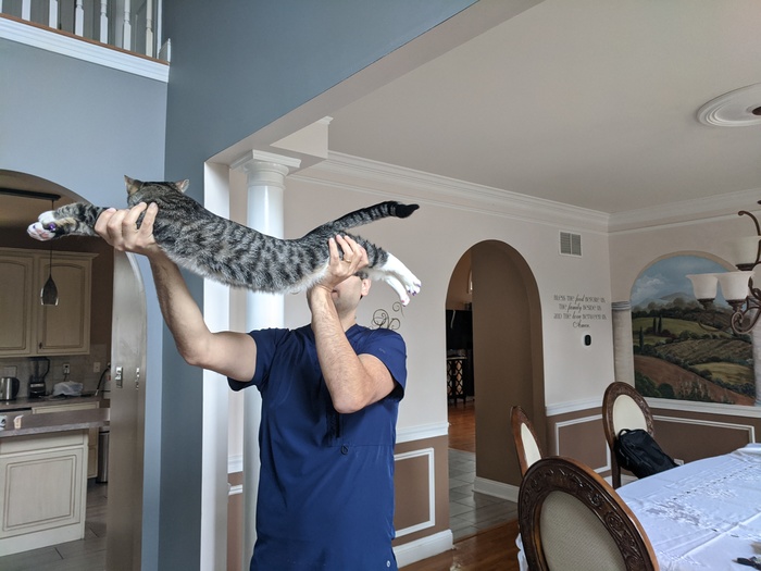 ����� 6-�������� �������