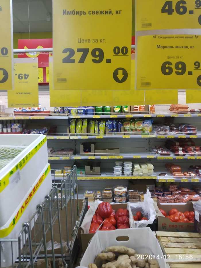 Имбирь всеисцеляющий