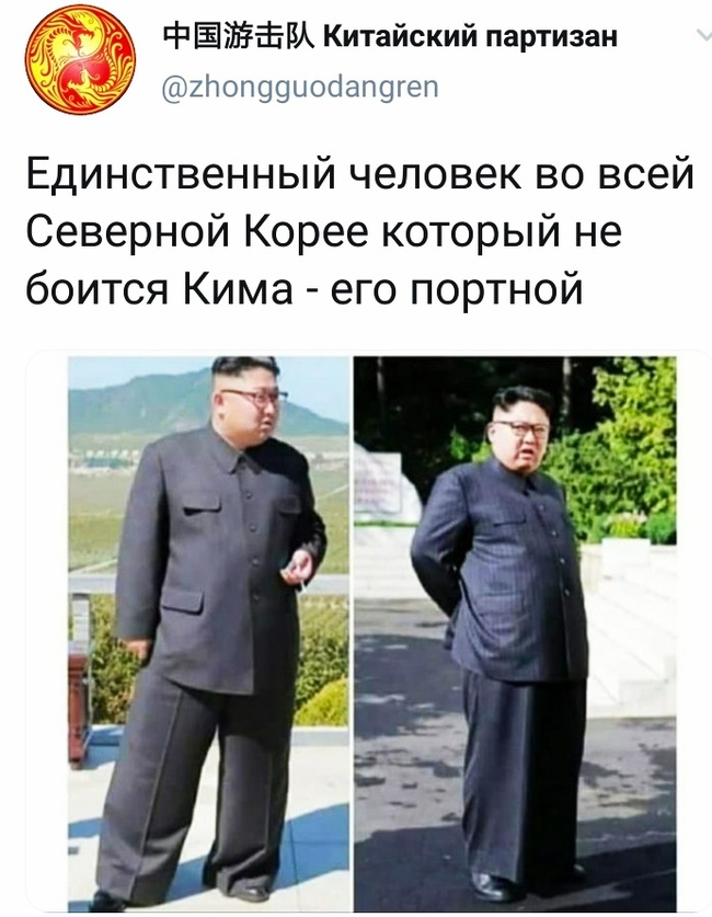 Высокая мода | Пикабу