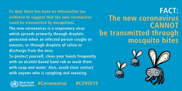 COVID-19 Разрушаем мифы от World Health Organisation - Коронавирус, Мифы, Длиннопост