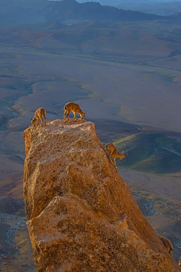 Israel... - Israel, beauty of nature, Nature