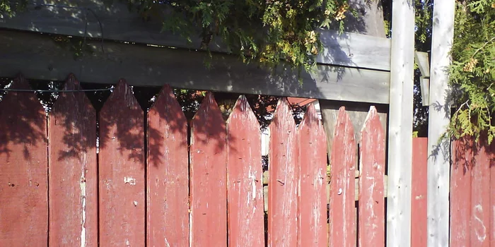 Игра "найди кота" Природа, Фотография, Игры, Photoshop, Кот, Лес, Длиннопост