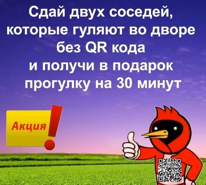 Promotion - Picture with text, Pass mode, Walk, Coronavirus, QR Code, From the network, Omsk bird