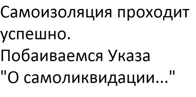 Немного побаиваемся... - Самоизоляция, Указ, Самоликвидация