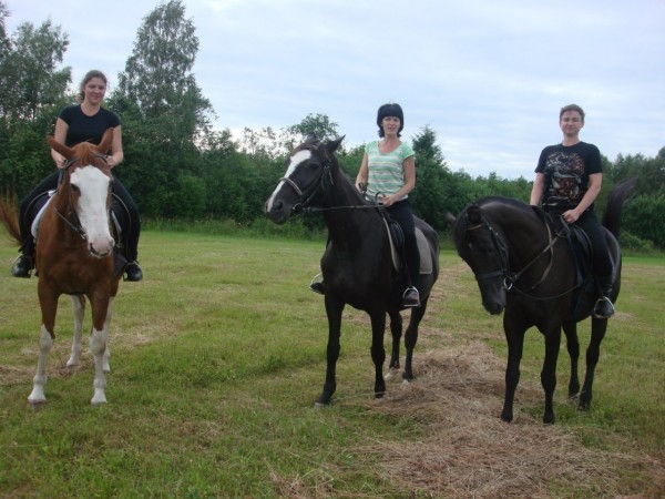 The story of my love for horses and vacation on a horse farm - My, Equestrian Club, Horseback riding, Real life story, Long, Longpost