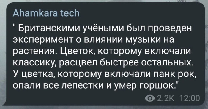 ���� ��� �� �����