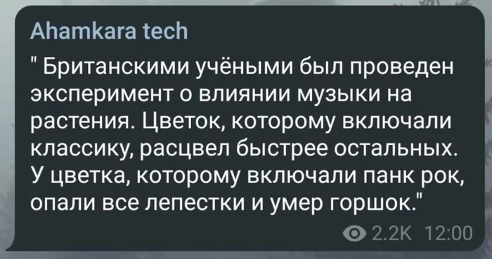 Панк рок он такой - Король и Шут, Панк-Рок