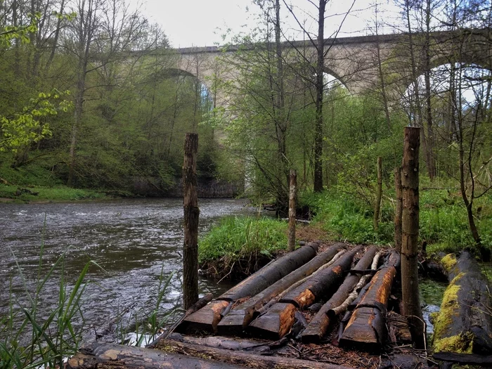 My bridge and the bridge of my mother’s friend’s son - My, The photo, Bridge, Kaliningrad region, Life stories