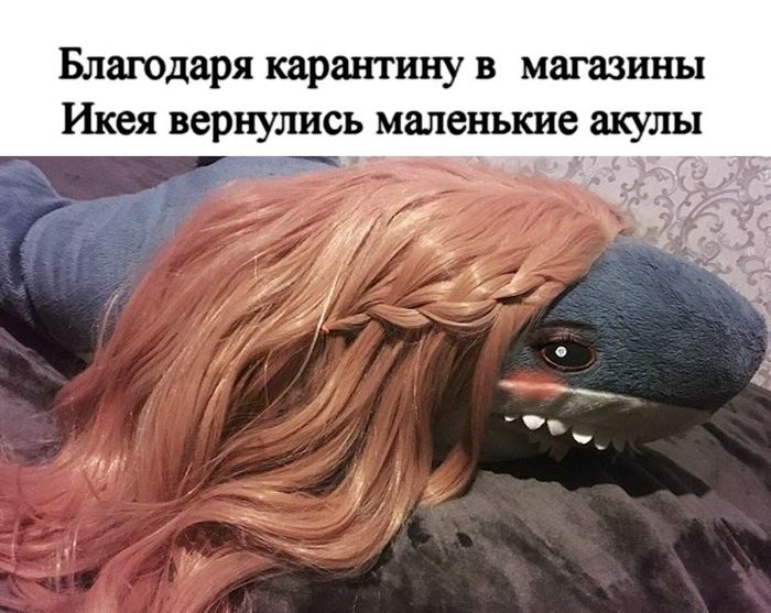 �������� ����������