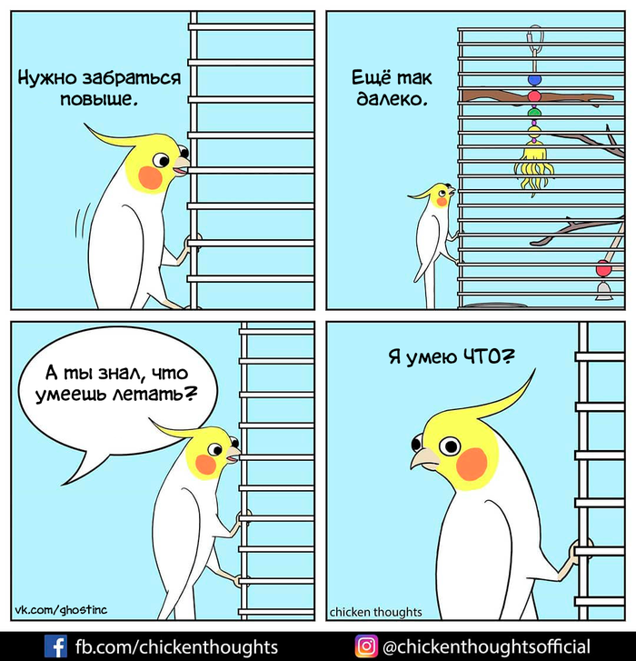  ,  , Chicken thoughts, 