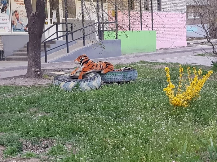 Nature in Volgograd has recovered so much... - My, Tiger, Volgograd, Nature
