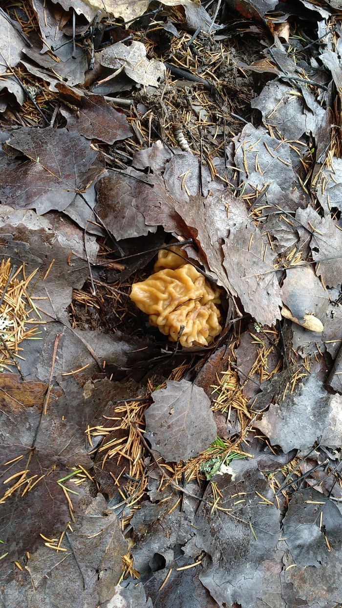 ��� �������� � ���� �.�