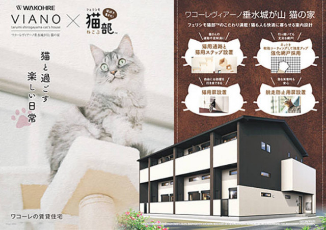 Unusual residential building in Japan designed for single residents with cats - cat, Apartment, Japan, Longpost