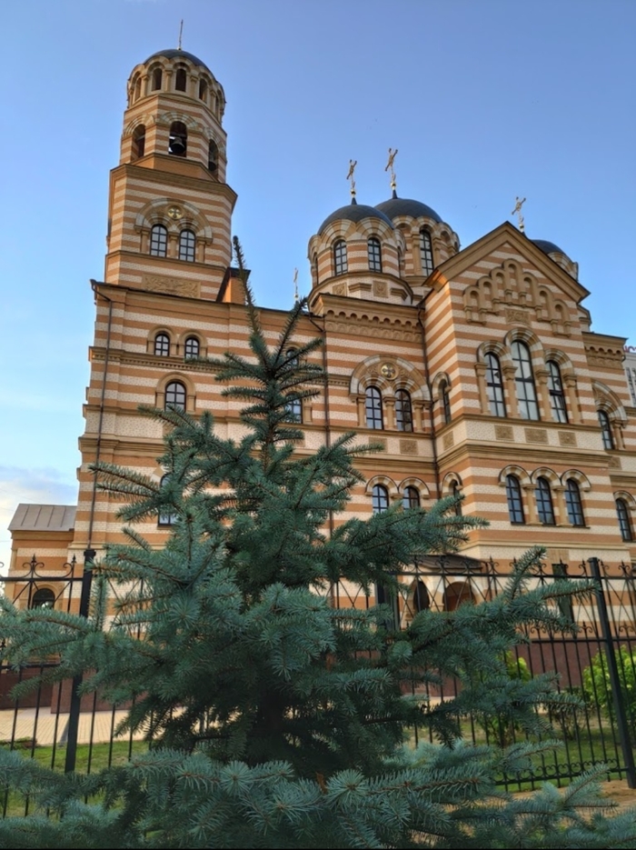 ������ ������