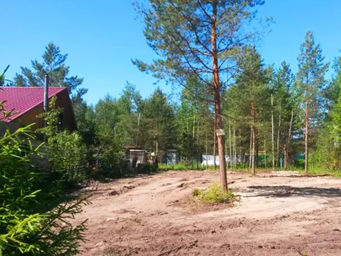 Land for the people: summer cottages up to 500 thousand rubles in the Moscow region - The property, Land plot, Overview, Longpost