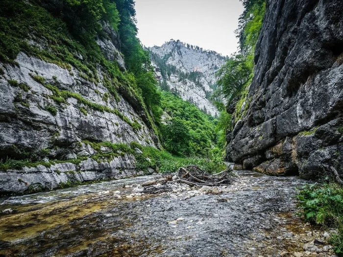 Visiting a mountain river - My, Republic of Adygea, Mountain river, Nature, The mountains, Longpost