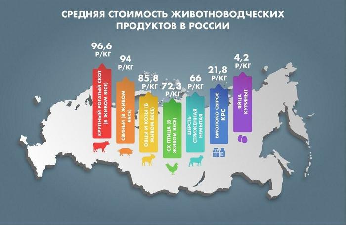 Средняя стоимость животноводческих продуктов в России - Моё, Интересное, Познавательно, Статистика, Сельское хозяйство, Ферма, Фермер, Продукты, Растениеводство