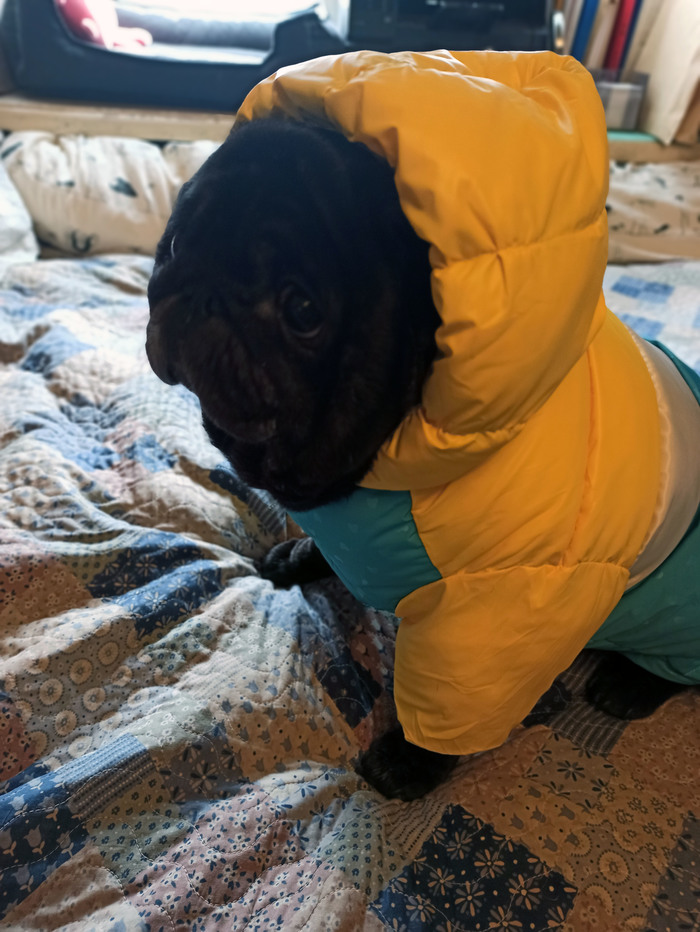 Посылка из далёкого Китая