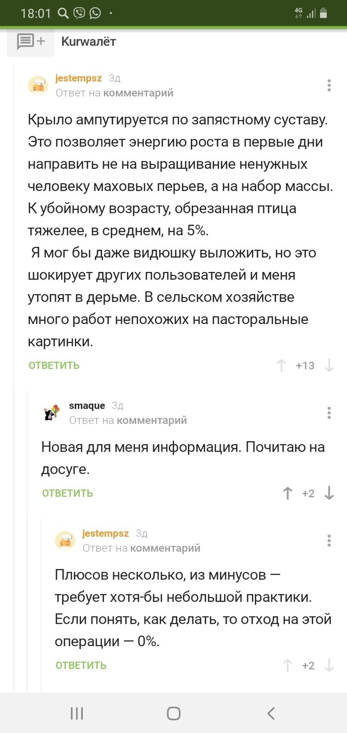 Ещё про обрезку крыльев у домашней птицы