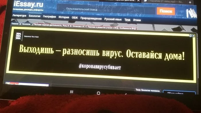 Креатив от государства - Моё, Коронавирус, Дистанционное обучение, Эстония