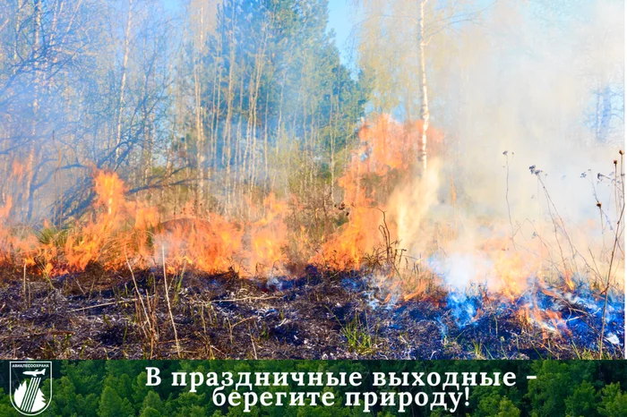 Celebrating Easter, take care of nature!!! - My, Nature, Easter, Forest, Safety, Fallen Grass, Forest fires