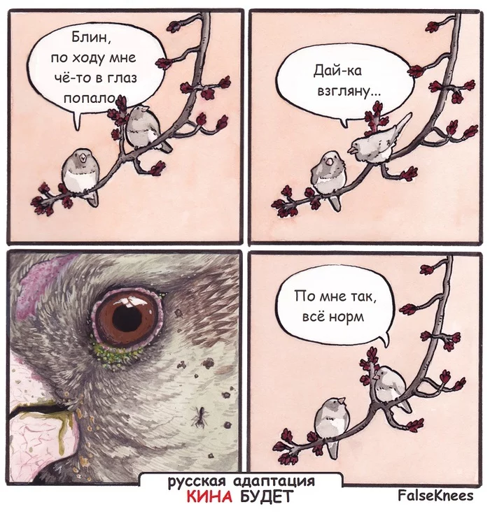 Looked closer - Falseknees, Birds, Eyes, Comics, Translated by myself