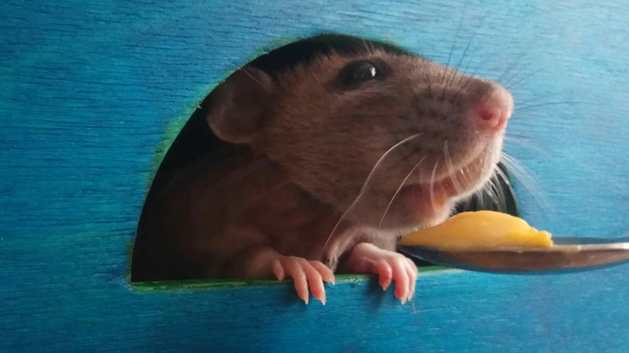 �� ����, �� ����...