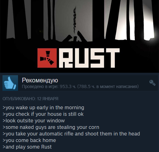 Funny reviews on Steam (part 9) - My, Games, Screenshot, Rust, Ark: Survival Evolved, Unturned, Hurtworld, Steam, Longpost, Steam Reviews