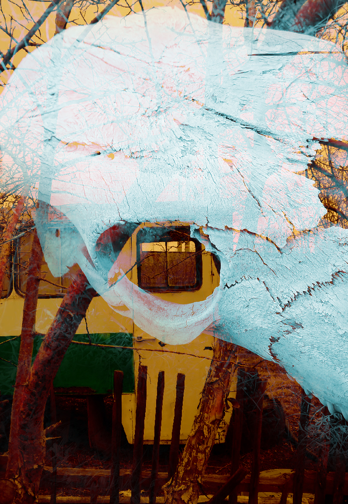  . Skull ,   (),  , , Photoshop, 