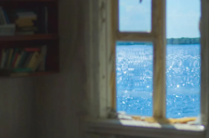 Aesthetics of abandonment - My, Abandoned, Wooden house, Arkhangelsk region, Window, Longpost