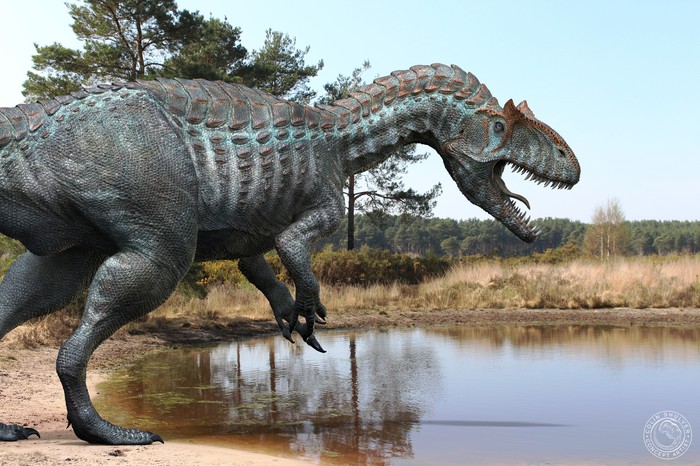 Allosaurus , ,  , , ,  , 